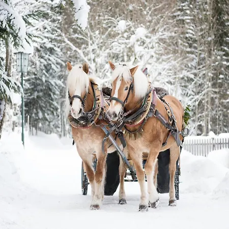 Near Grundlsee * Grundlsee